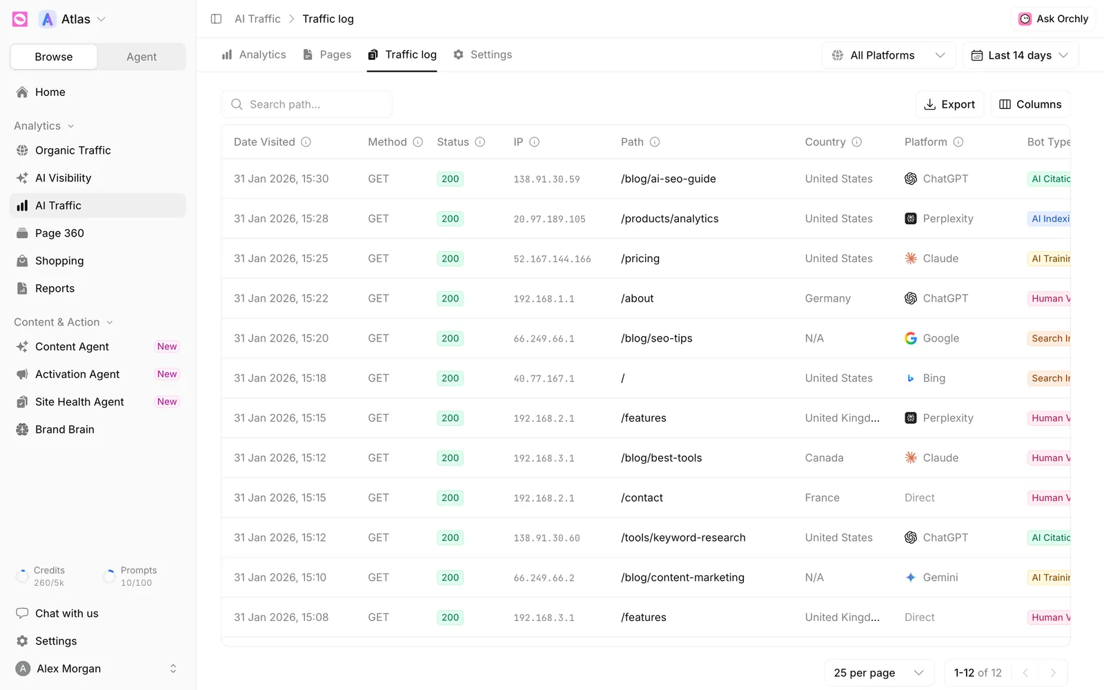 AI Traffic log table with Date Visited, Method, Status, IP, Path, Country, Platform and Bot Type columns for ChatGPT, Perplexity, Claude, Google and Bing visits