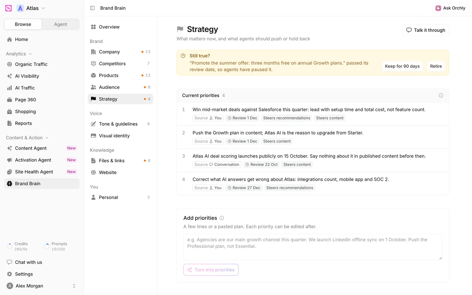 Brand Brain Strategy section with a Still true? alert, numbered current priorities with review dates and steer badges, and the Add priorities box